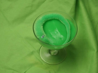 A little green monster in a champagne glass full of slime.